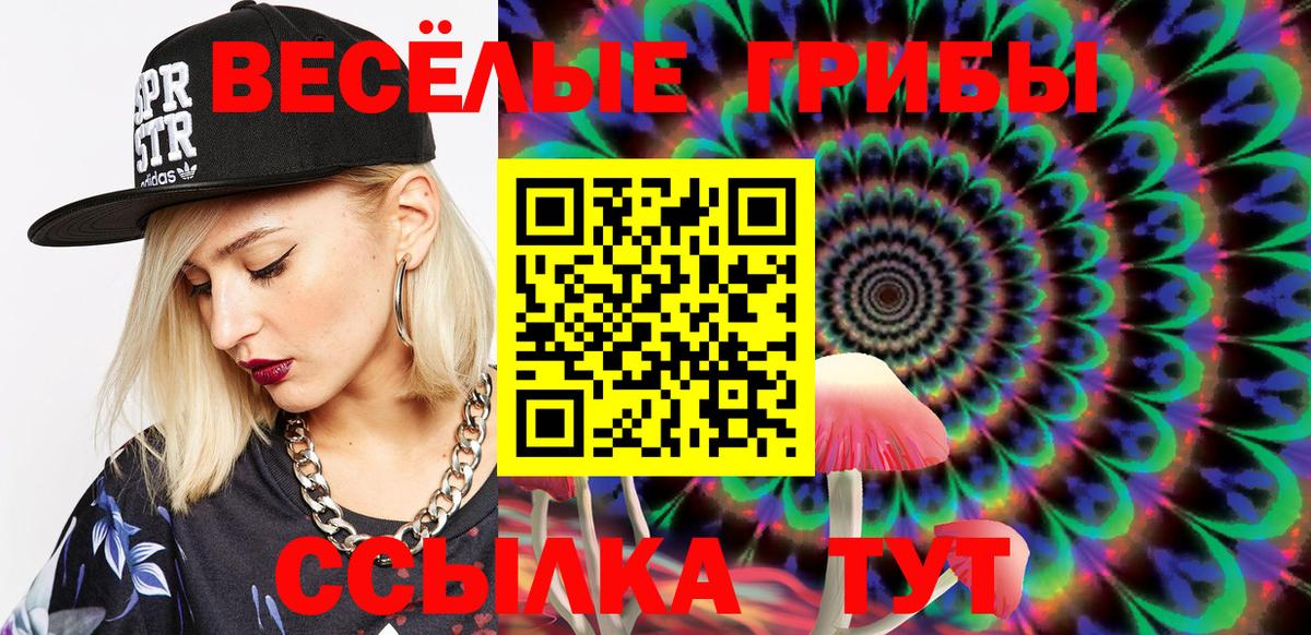 Псилоцибиновые грибы Psilocybe  Вход с VPN  Касимов  Галлюциногенные грибы MAGIC MUSHROOMS 